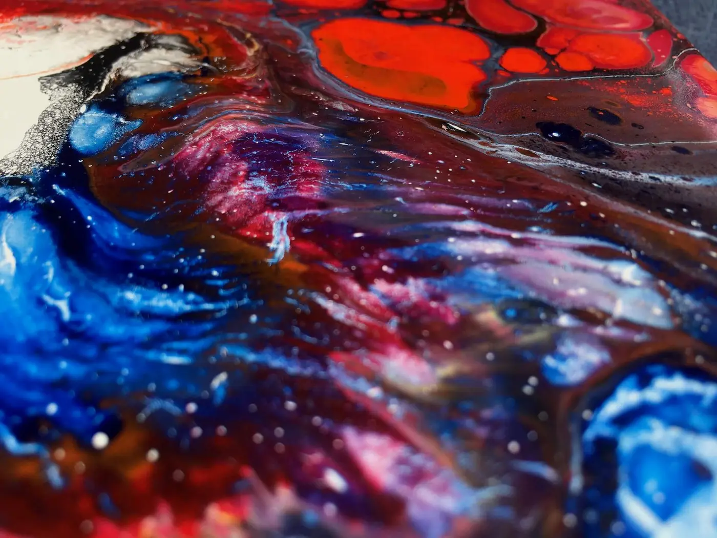 The Universe Viewed as a Cell, photo 7 of 13