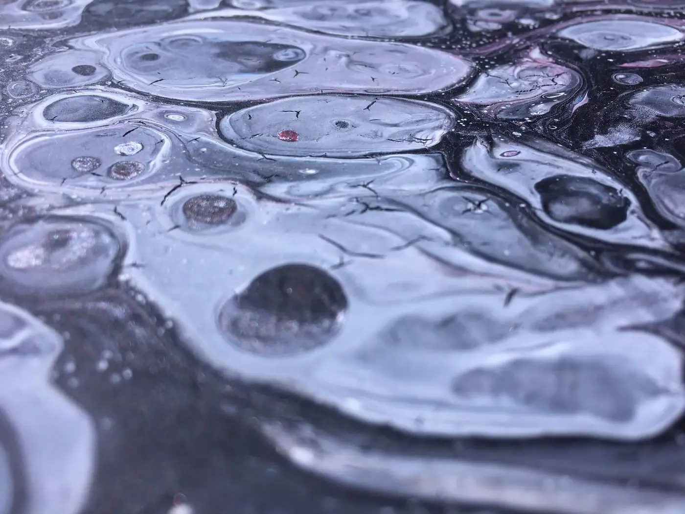 Cell Landscape, photo 7 of 13