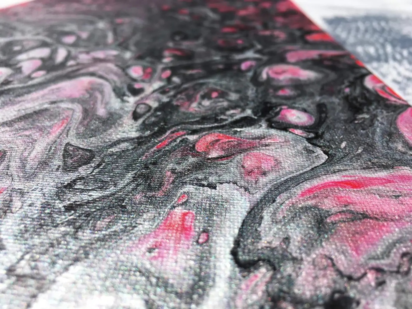 Pink Predilection, photo 9 of 12