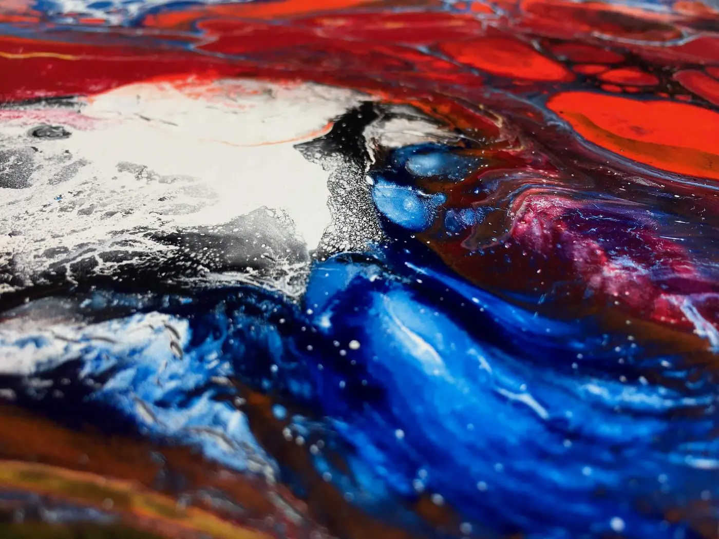 The Universe Viewed as a Cell, photo 9 of 13